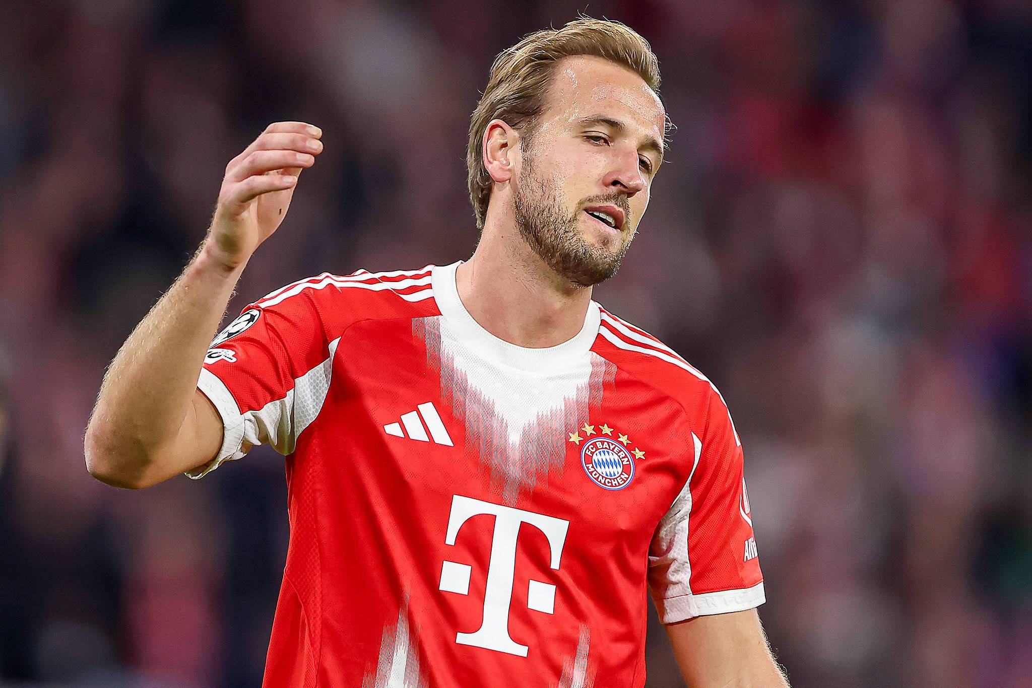 kaiyun-炸肉排粉丝凯恩：“这很美味”